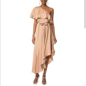 Zimmermann one shoulder dress